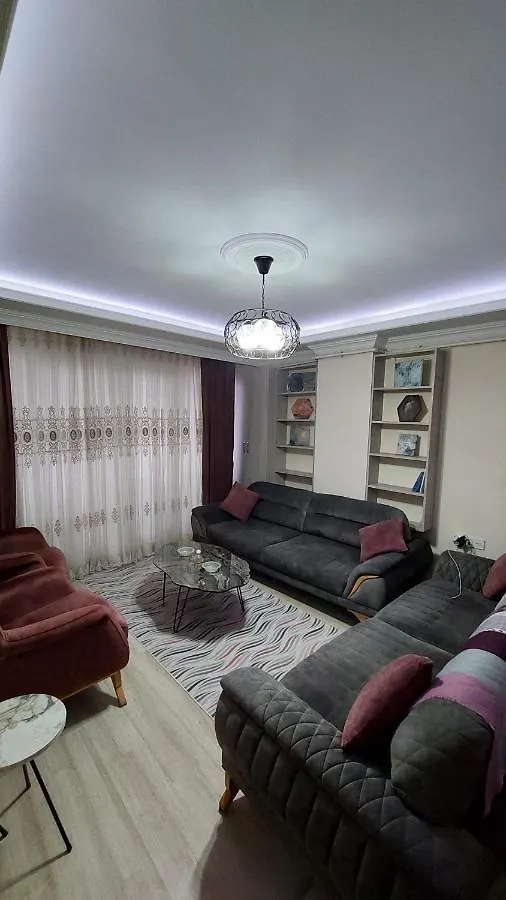 شقة مفروشة في اسطنبول Furnished Apartment In Istanbul 0*,